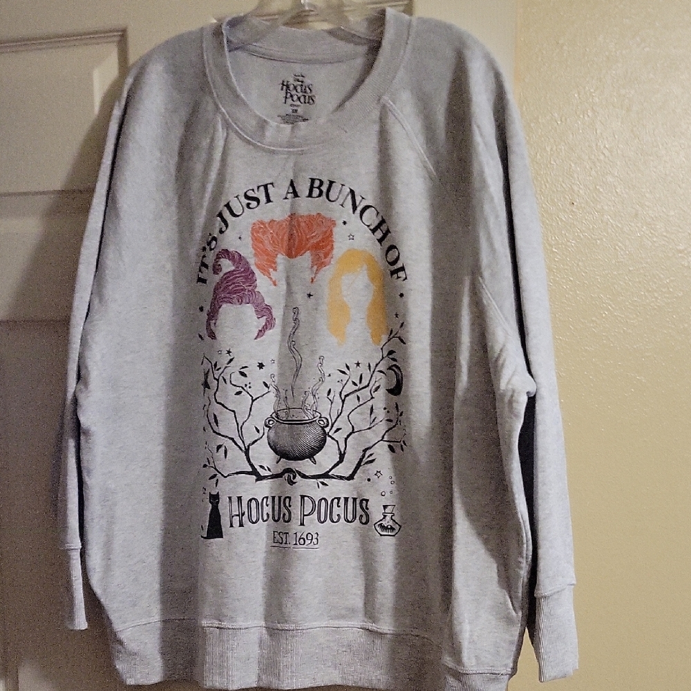Disney Hocus Pocus Gray Sweatshirt
